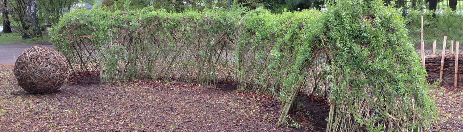 pileflett botanisk hage skovstuen pil pilehytte