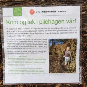 pileflett botanisk hage skovstuen pil