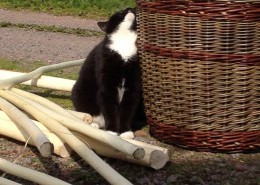 stor kurv med pilebark og katt