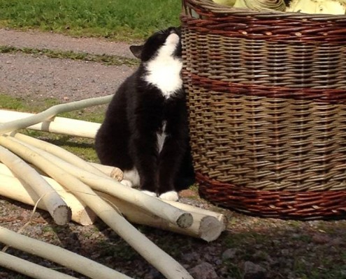 stor kurv med pilebark og katt