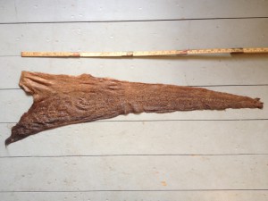 Barkgarvet fiskeskinn av torsk ca 80 cm.